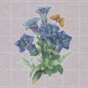 挤在一起的植物/Plants Huddled Together