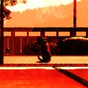 猫还在逃吗？/Still It Runs